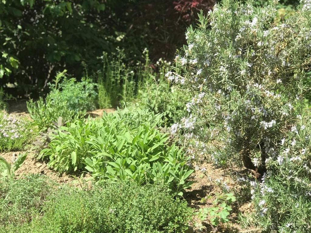 GARTEN