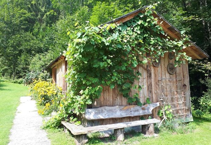 Bild 13