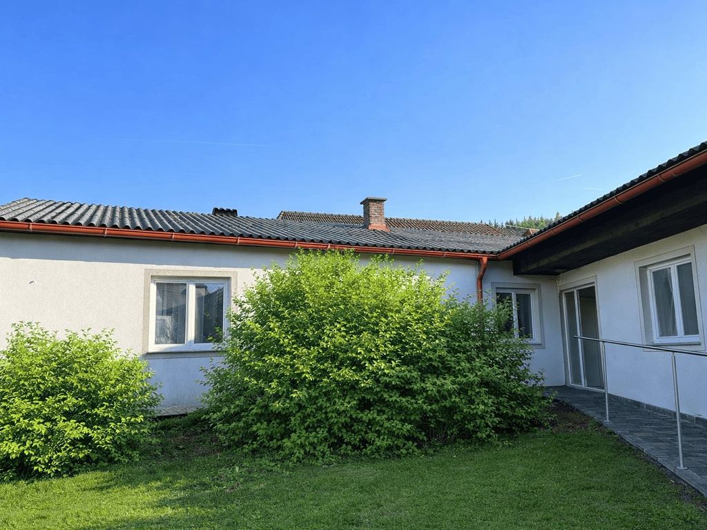 Vorderansicht Garten