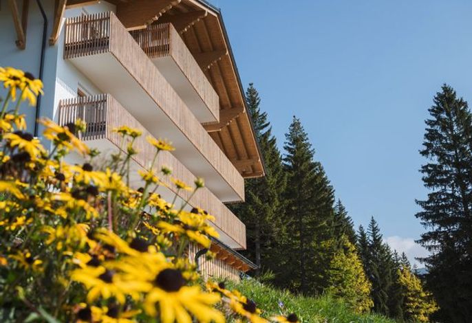 Berghotel Predigstuhl