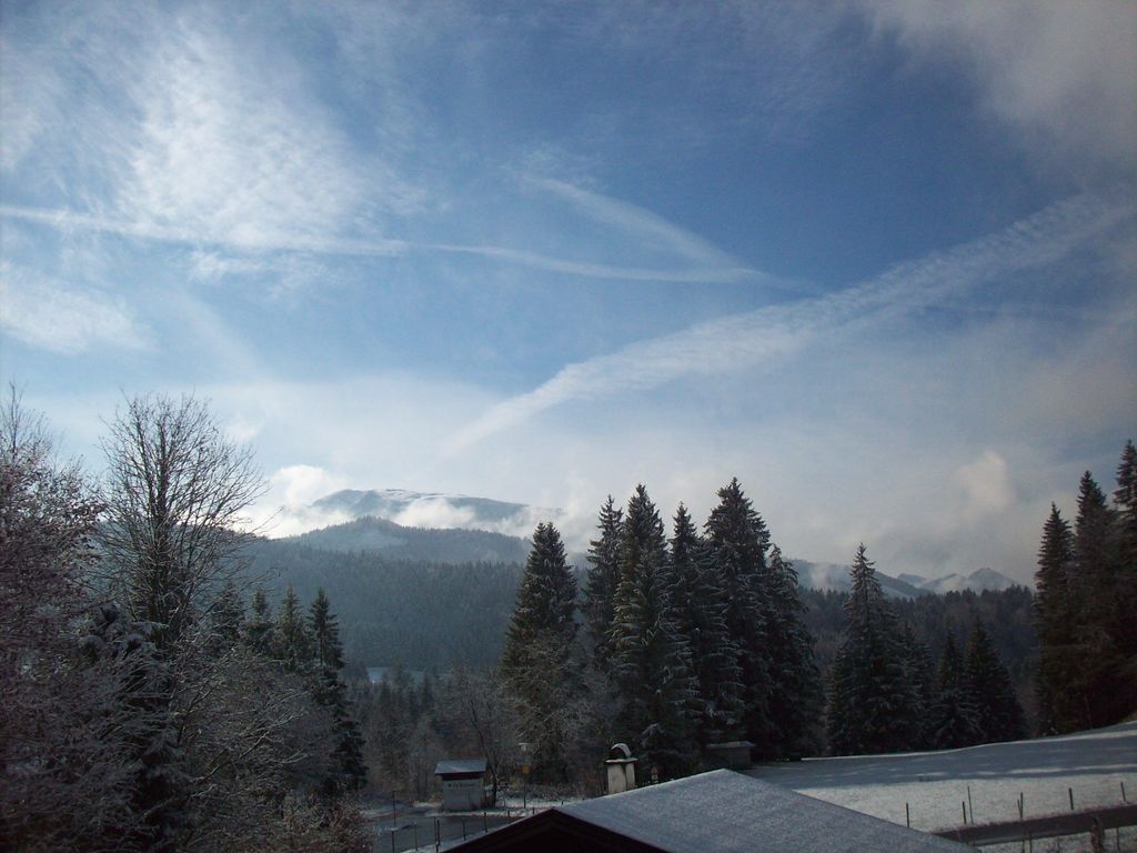 der Ausblick in die Natur