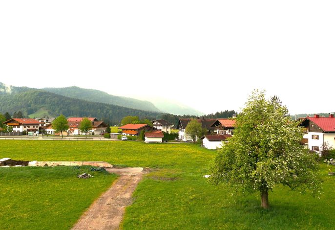 Bild 7
