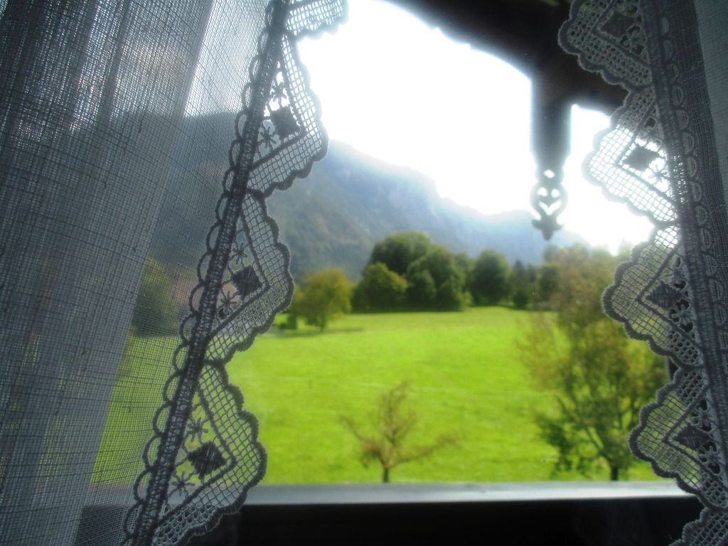 Ausblick