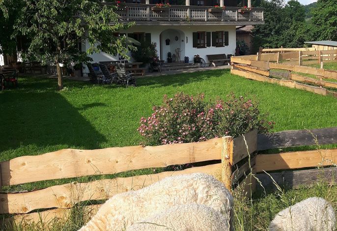 Bild 11