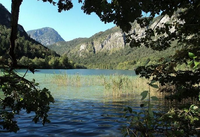 Bild 13