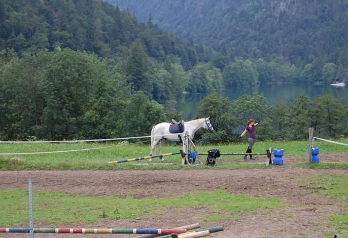 Bild 19