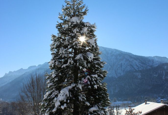 Bild 15