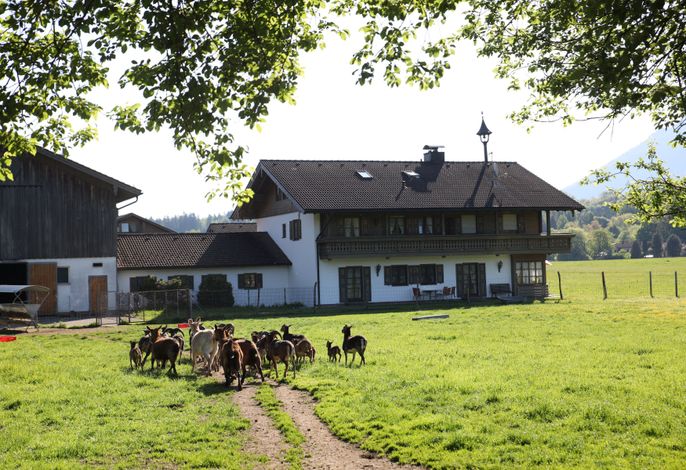 Kleinreiterhof Ferienwohnungen Limmer – Foto 3