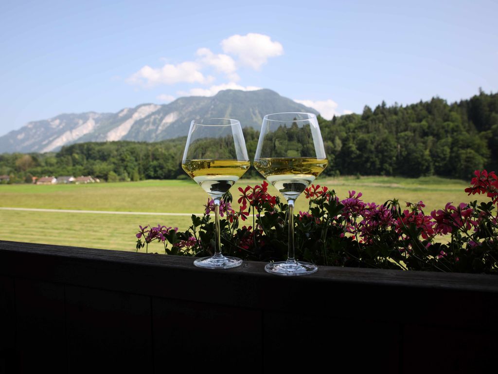 Panoramablick vom Balkon Richtung Untersberg