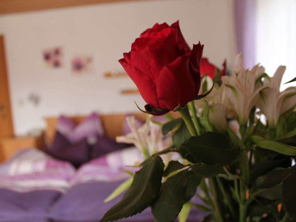 Das gemütliche und helle Doppelzimmer lädt zum Erholen nach erlebnisreichen Tagen ein!