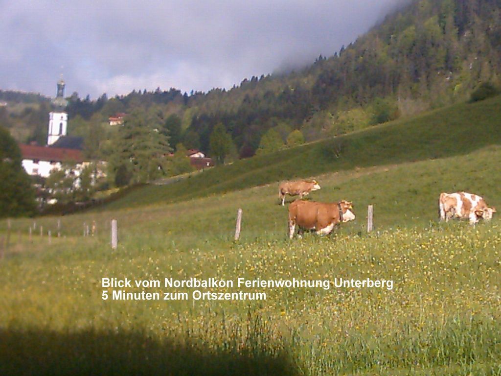 Ortszentrum