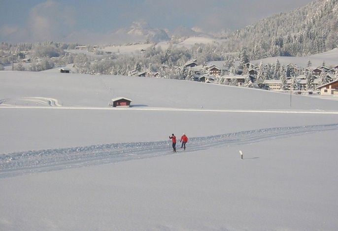 Bild 14