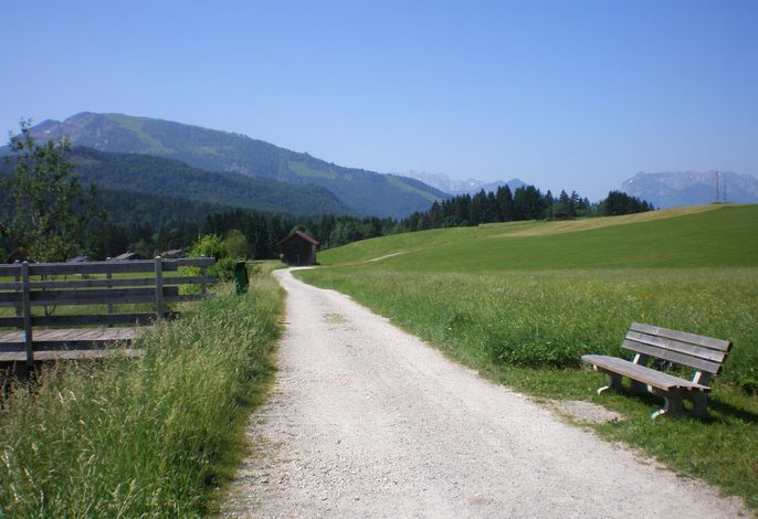 Bild 22