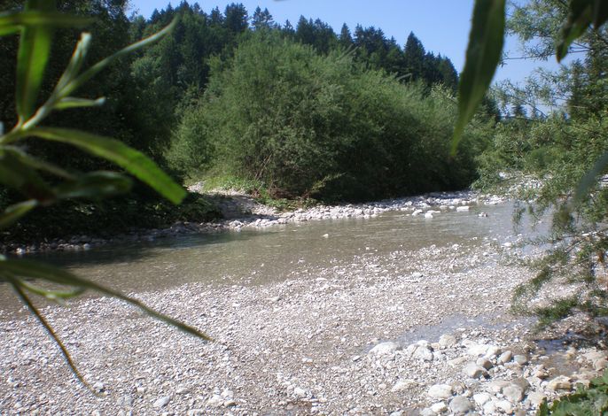 Bild 19