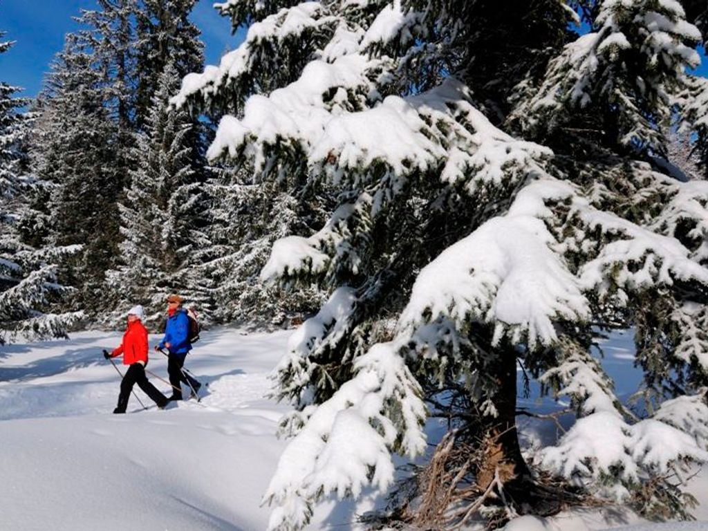 Ihre Gastgeber beim Winterwandern
