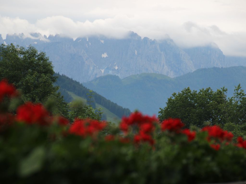 Wilder Kaiser