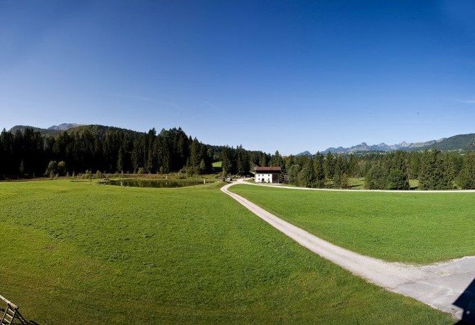 Bild 7