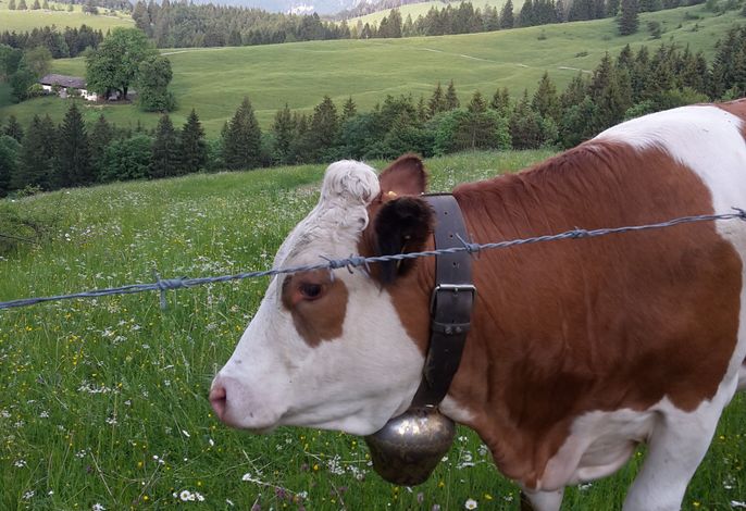 Bild 9