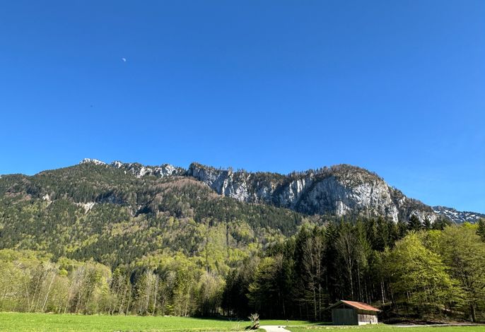 Alpaka-Hof Landinger – Foto 5