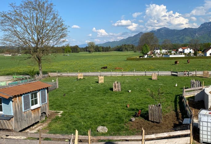 Bild 13