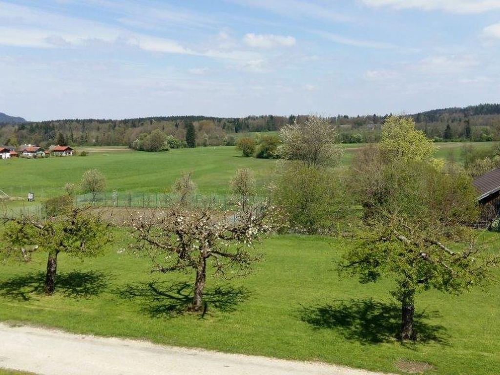 Ausblick
