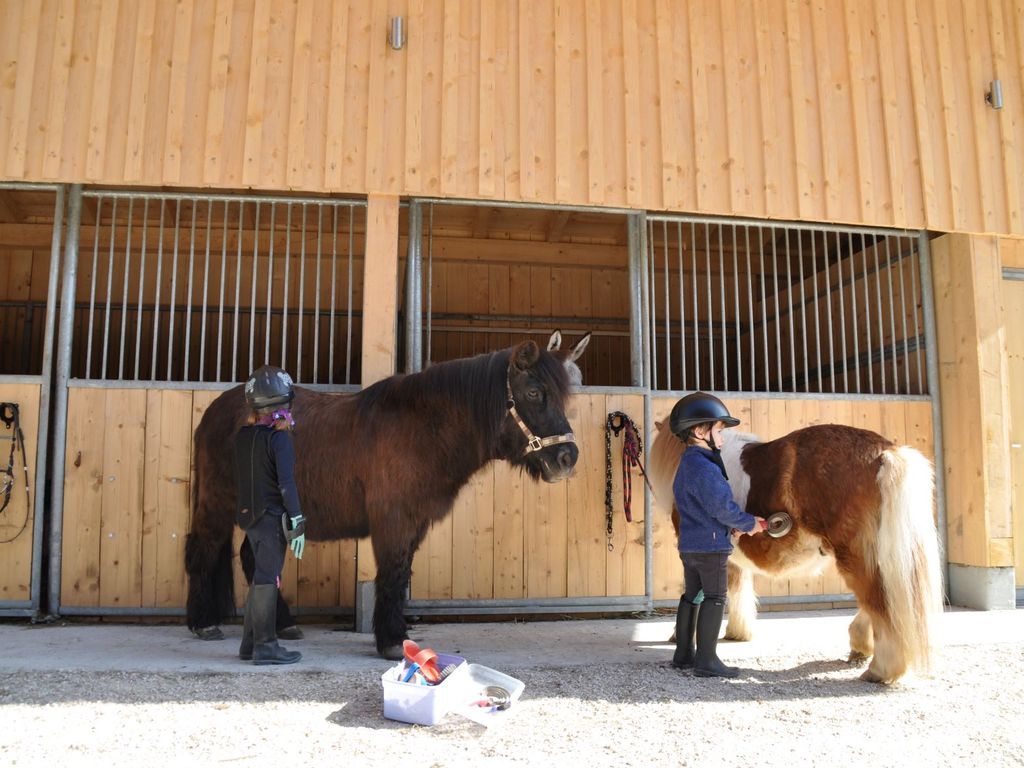 Ponys am Hof