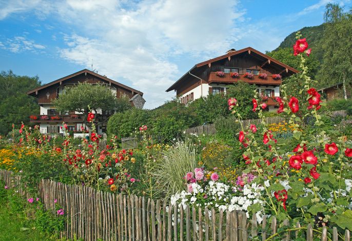 Hauptbild