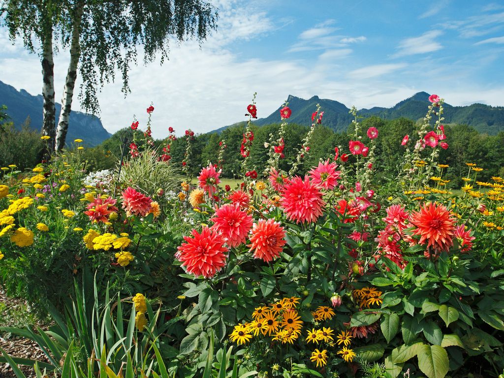 Aussicht in die Berge