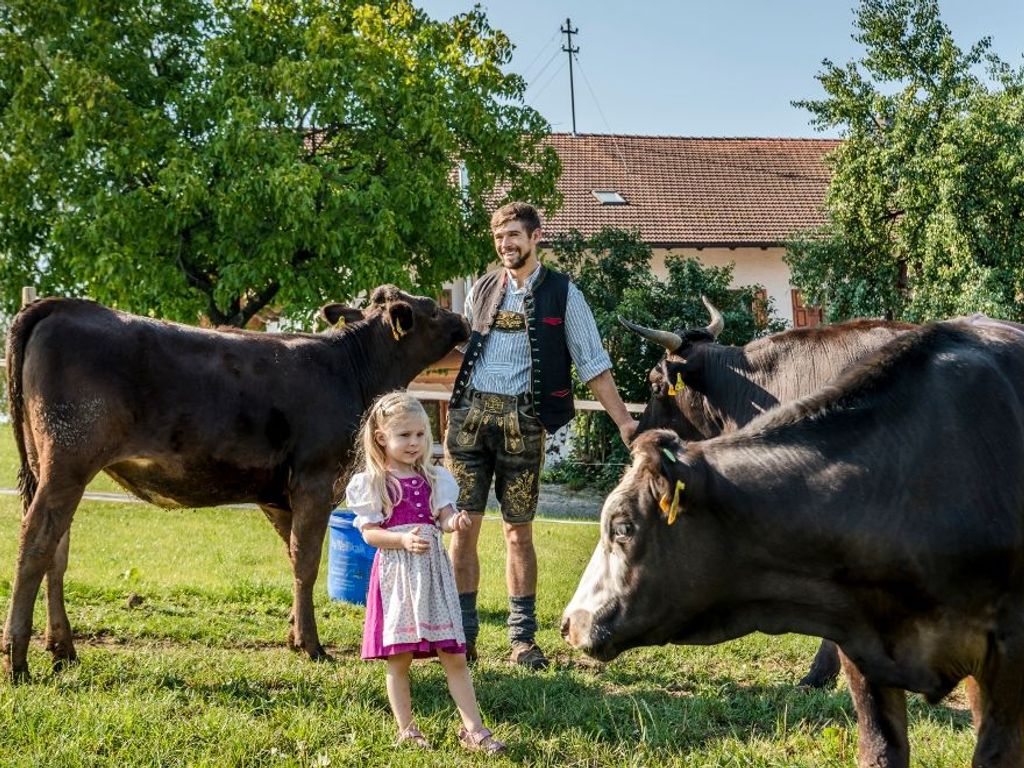 Urlaub zwischen Kuh, Hühnern und Katz
