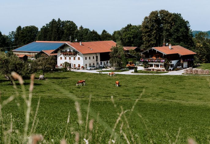 Bild 14