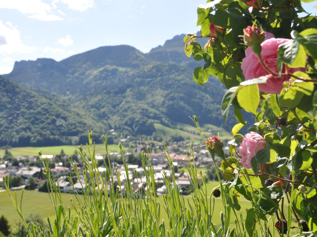 Blick auf Aschau