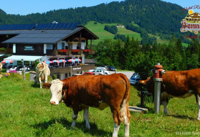 Bild 14