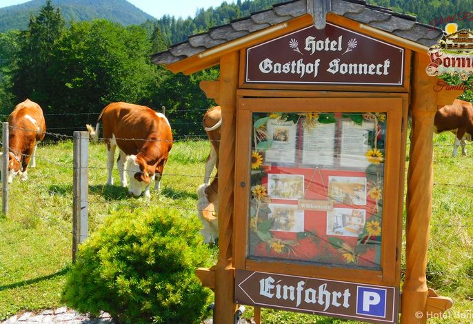 Bild 13