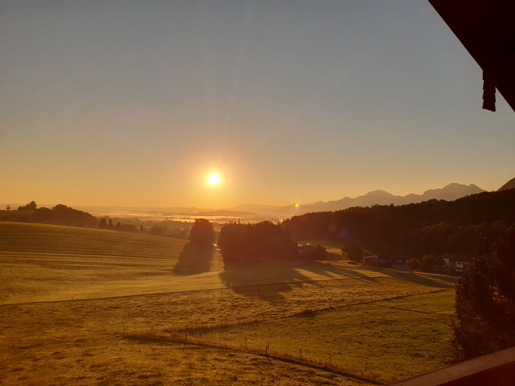 Ausblick vom Balkon