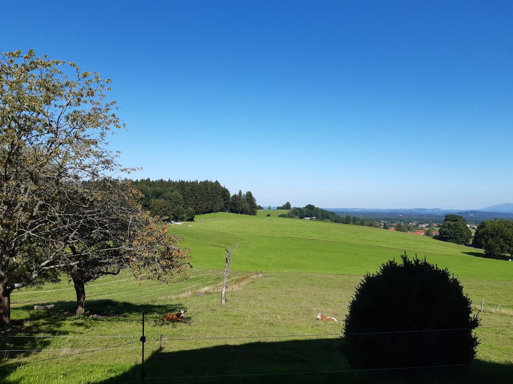 Aussicht vom Balkon