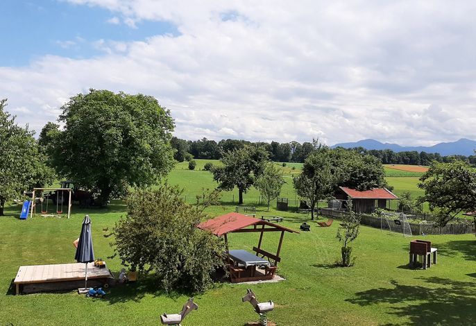 Bild 7
