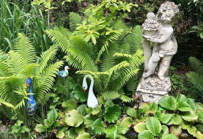 Ferienwohnungen Birkenhof Apartments – Foto 5