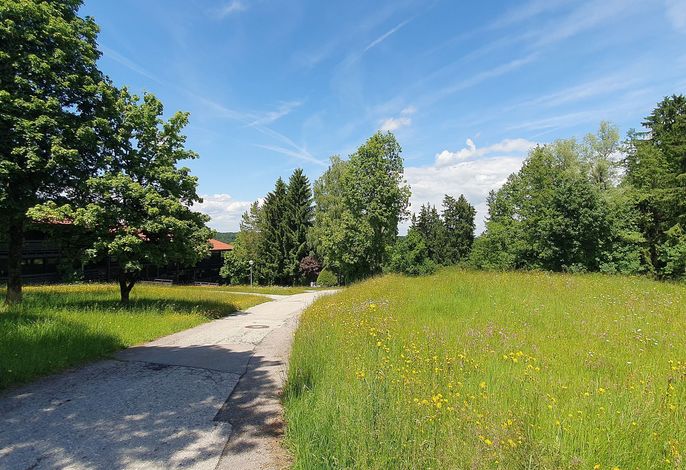 Bild 13