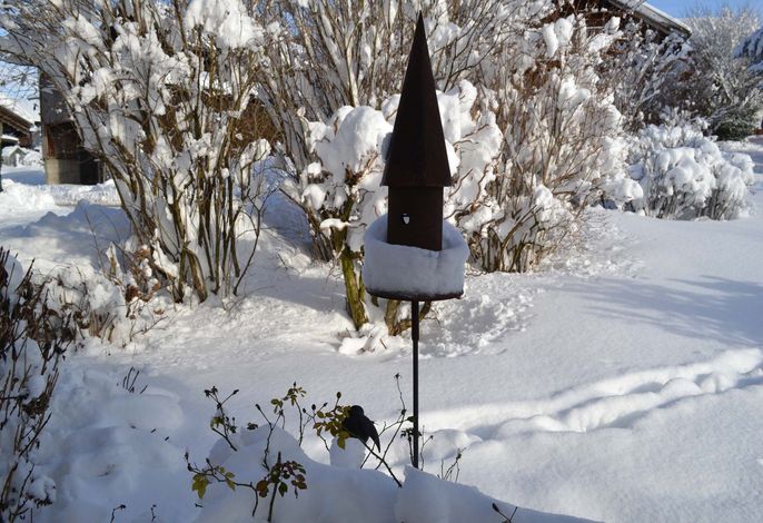 Bild 16
