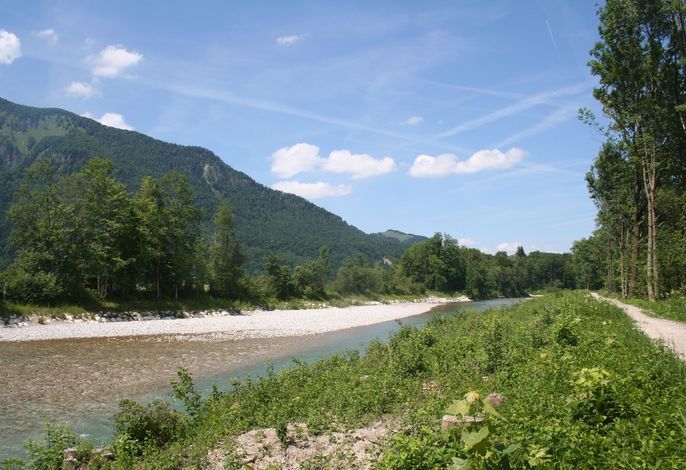 Bild 16