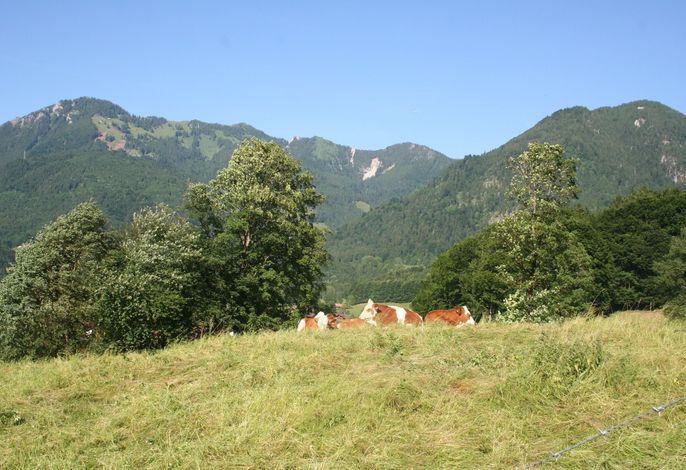 Bild 15