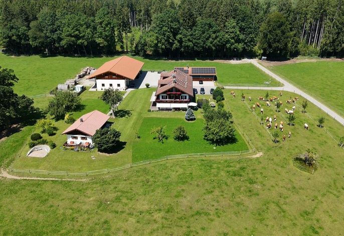 Bild 16