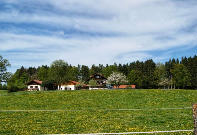 Ferienhaus Axmann