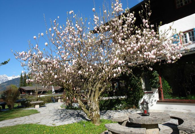 Stoll's Hotel Alpina OHG