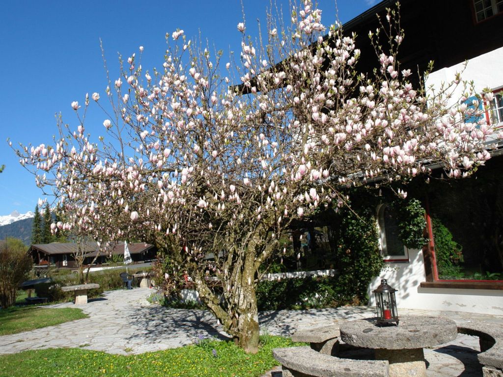 Stoll's Hotel Alpina OHG