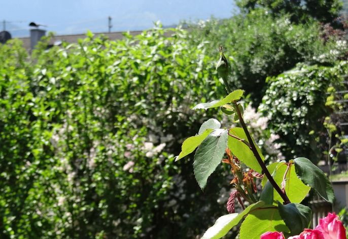 Bild 14