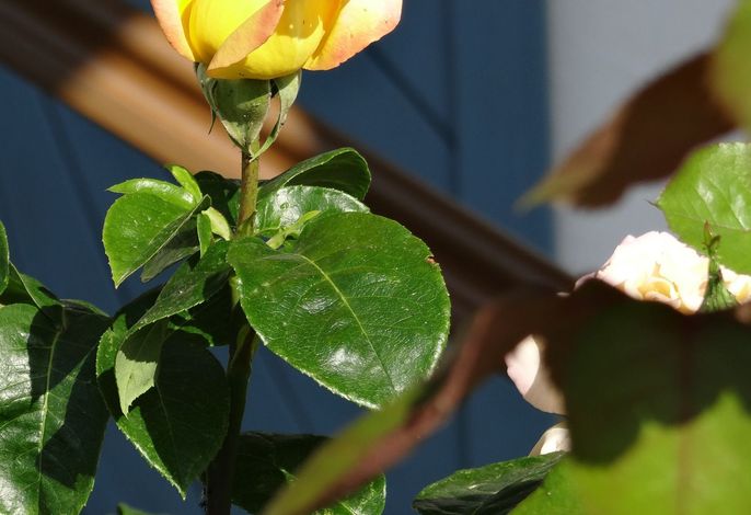 Bild 22