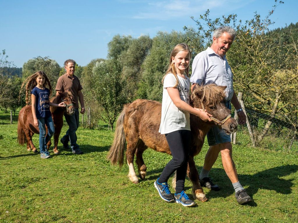 Gerne dürft Ihr auf unserer Lara reiten.