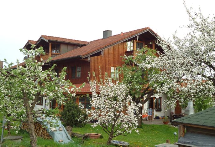 Ferienwohnung Wingen
