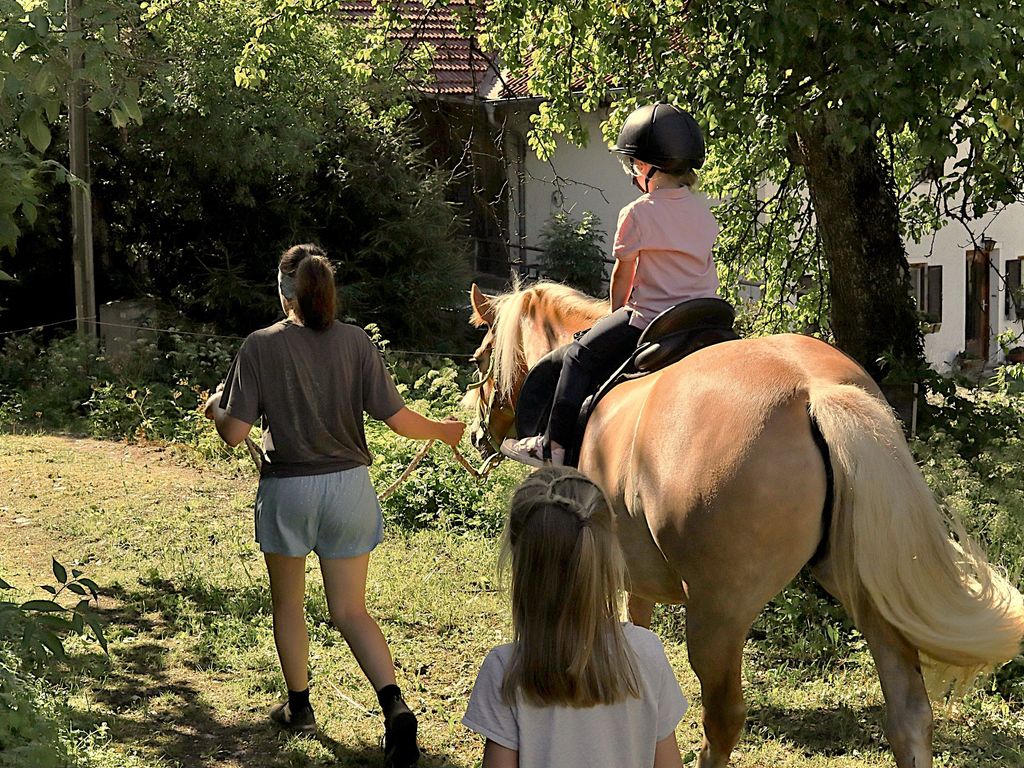Geführtes Ponyreiten